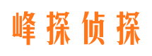 静宁市调查公司